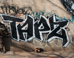 Фотография художника